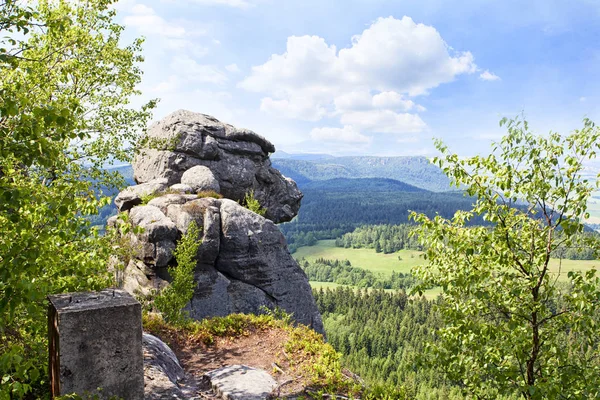 Sudety Mountain Forest Poland — Stock Photo, Image