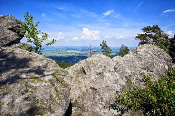Sudety dağın orman Polonya