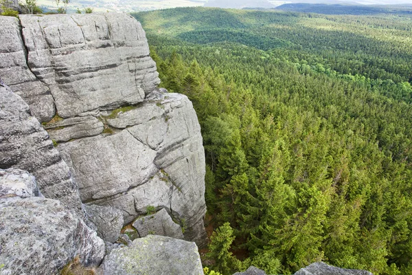 Sudety Mountain Forest Poland — Stock Photo, Image