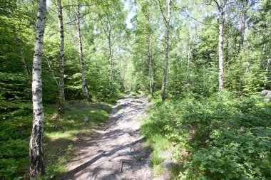 Manzara tablo dağlar, Stolowe Dağları Milli Parkı Polonya
