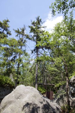 Manzara tablo dağlar, Stolowe Dağları Milli Parkı Polonya