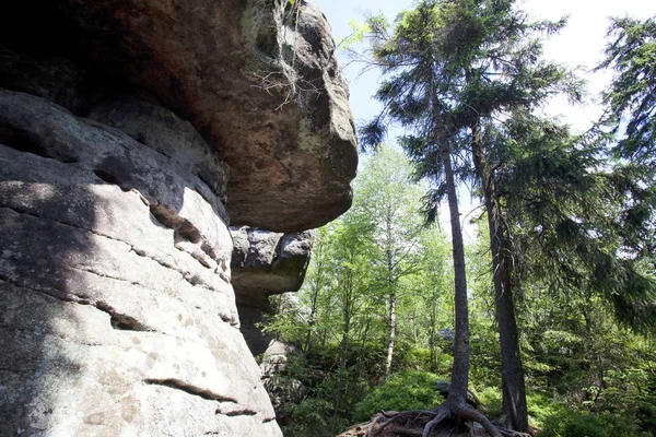 Paysage Montagnes Table Parc National Des Montagnes Stolowe Pologne — Photo