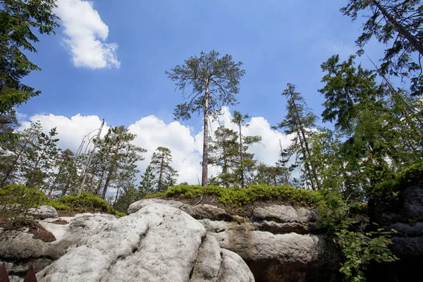 Paysage Montagnes Table Parc National Des Montagnes Stolowe Pologne — Photo