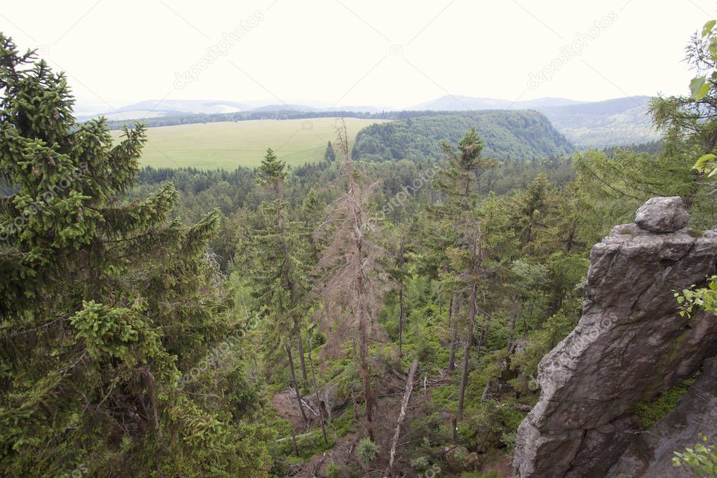 Landscape of table mountains, Stolowe Mountains National Park in Poland