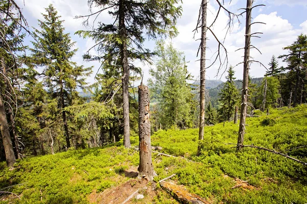 Paisaje Montañas Mesa Parque Nacional Las Montañas Stolowe Polonia —  Fotos de Stock