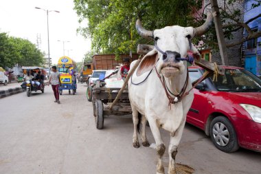 Yeni Delhi, Hindistan - 18 Temmuz 2018: Rickshaws, motosiklet, kalabalık sokak trafik ve ana ın Bazaarı ya da Paharganj ile kalabalık sokak görünümüne. 