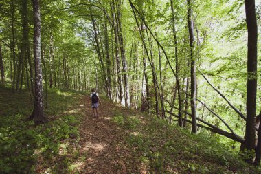 Yaz Bieszczady bölge, Polonya, Avrupa'nın huzurlu orman