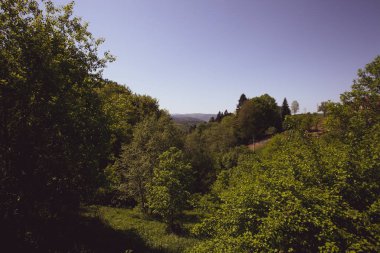Yaz Bieszczady bölge, Polonya, Avrupa'nın huzurlu orman