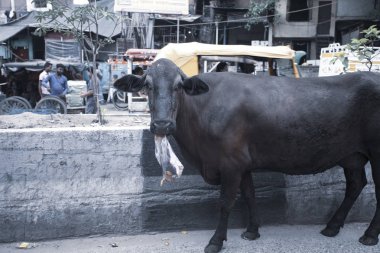 Yeni Delhi, Hindistan - 18 Temmuz 2018: Rickshaws, motosiklet, kalabalık sokak trafik ve ana ın Bazaarı ya da Paharganj ile kalabalık sokak görünümüne