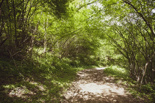 평화로운 Bieszczady 폴란드 유럽에서 — 스톡 사진