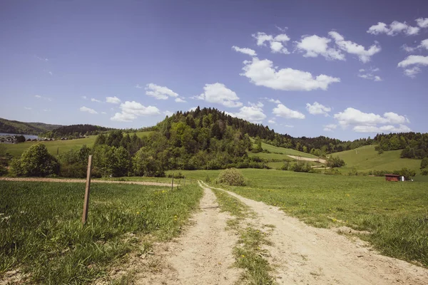 Yaz Bieszczady Bölge Polonya Avrupa Nın Huzurlu Orman — Stok fotoğraf