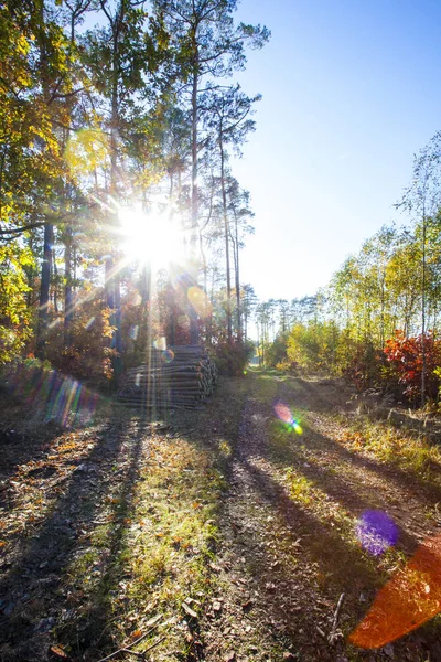 Herbstlandschaft Bunte Herbstlandschaft — Stockfoto
