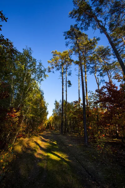 Herbstlandschaft Bunte Herbstlandschaft — Stockfoto