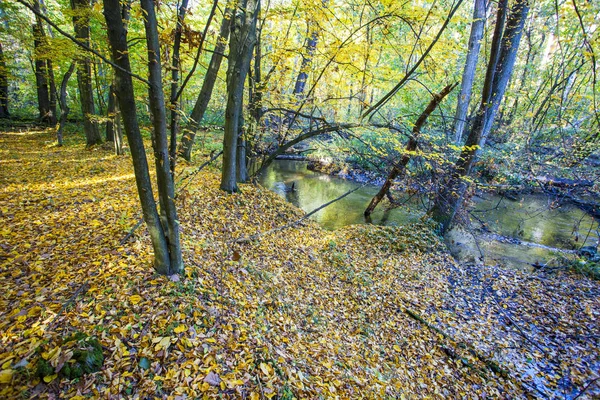 Őszi Táj Színes Őszi Természet Jelenet — Stock Fotó