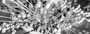 Soyut teknolojinin 3 boyutlu illüstrasyonu Sancak arkaplanı için hazır dijital hi-tech konsepti 