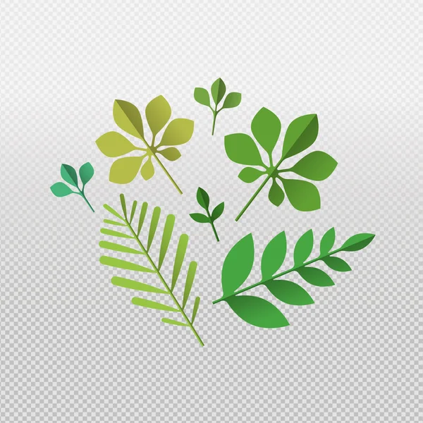 Tropical Green Leaf Set Transparent Background Isolated Summer Leaves Exotic — Stock Vector