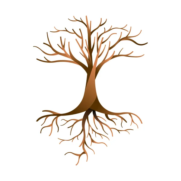 Árvore Vazia Com Ramos Raízes Fundo Isolado Conceito Modelo Natureza —  Vetores de Stock