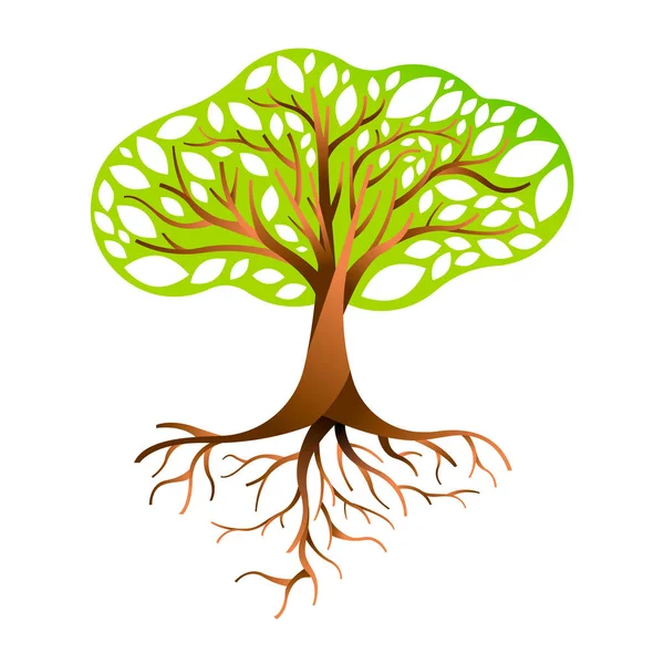 ツリーは緑の葉の枝や根から成っています 性質の概念 環境ヘルプまたは地球のケア Eps10 ベクトル — ストックベクタ