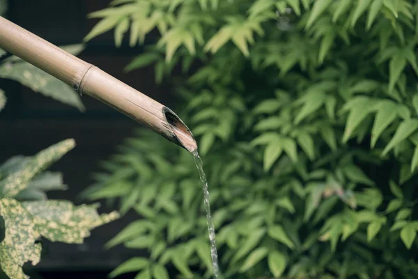 Бамбуковый Фонтан Льет Воду Зеленый Природный Фон Традиционный Японский Сад — стоковое фото