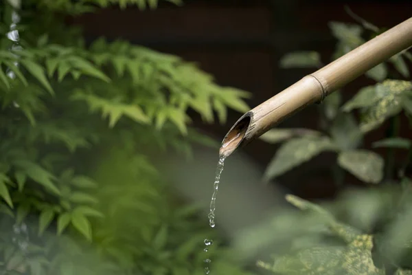 Fontana Bambù Versando Acqua Sfondo Verde Natura Giardino Tradizionale Giapponese — Foto Stock