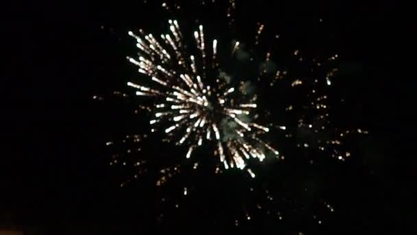 Gold Feuerwerk Feier Feiertag Party Explosion — Stockvideo