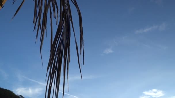 Západ Slunce Pláži Pobřeží Krajiny Letních Prázdninách — Stock video