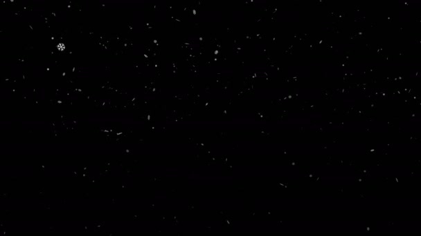 冬の雪の落下バック グラウンド オーバーレイ 白いほこりの粒子 アルファ チャネル付きの雪 ホリデー シーズン クリスマス カードお祝いイベントのアニメーション — ストック動画