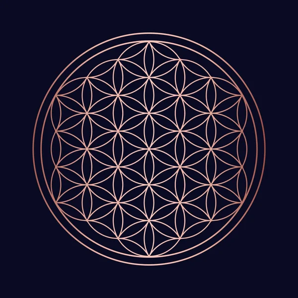 Modern Mandala Sacred Geometry Shapes Concept Symbol Abstract Minimalistic Design — Stock Vector