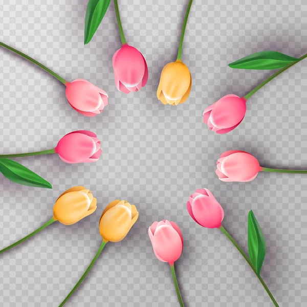 Roze 3d tulp bloem cirkel op geïsoleerde achtergrond — Stockvector