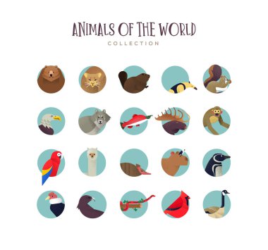 Egzotik yaban hayatı sembollerinin hayvan simgesi koleksiyonu