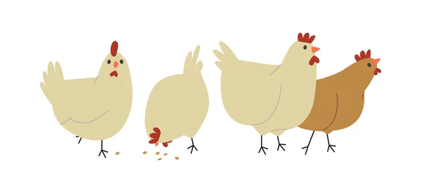 Grazioso fattoria pollo gallina uccello gruppo isolato — Vettoriale Stock