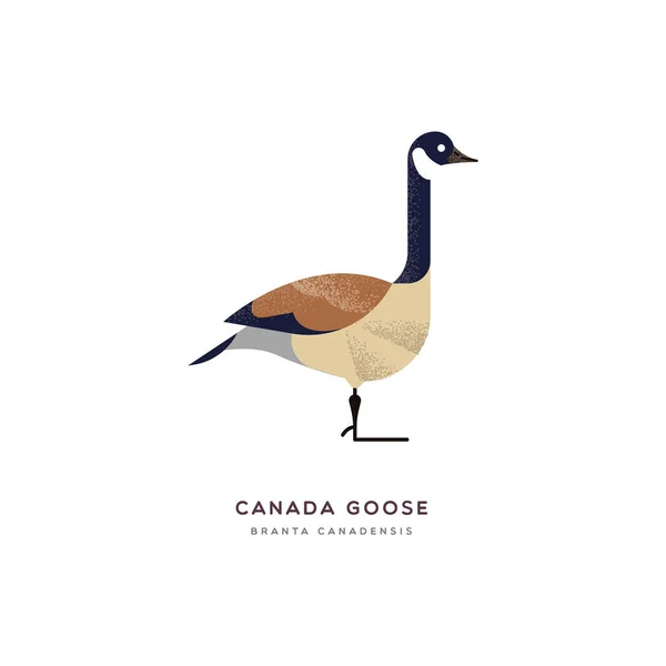 Canada goose duck bird isolated animal cartoon — Stock Vector