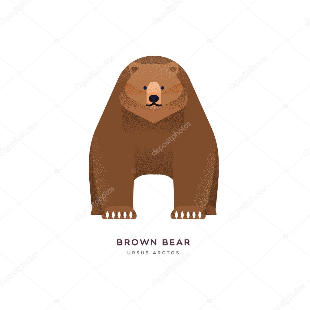 Brown grizzly bear isolated animal cartoon