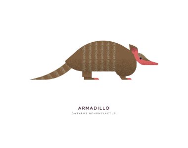 Gruplu armadillo yaban hayatı hayvanat bahçesi hayvanı.