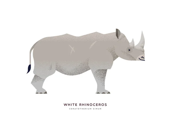 Rinoceronte bianco animale selvatico su sfondo isolato — Vettoriale Stock