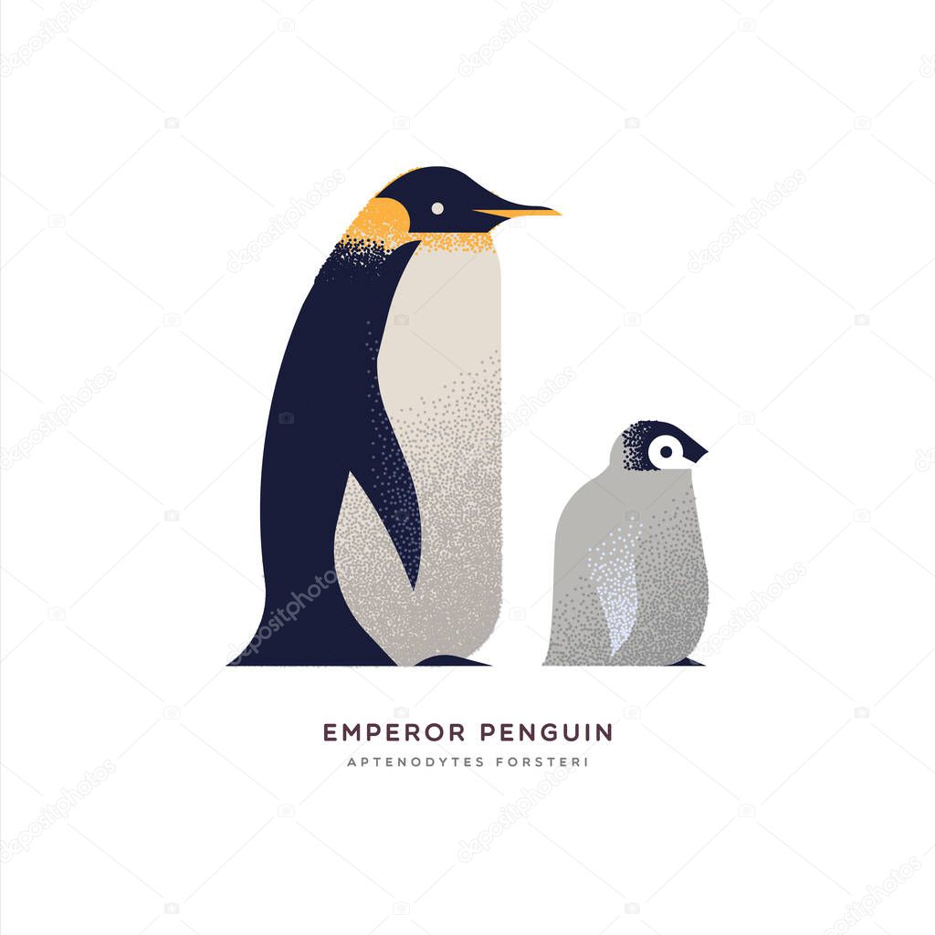 Emperor penguin animal cartoon isolated with baby