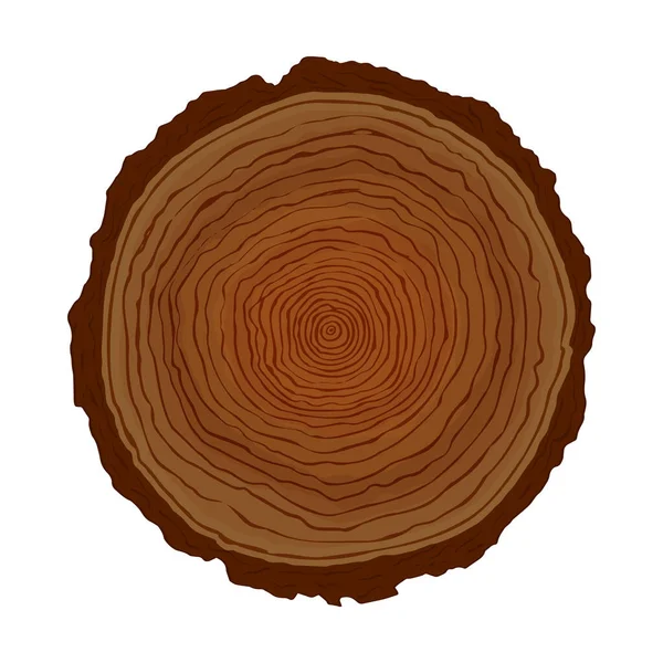 Wood Tree Circle Cut Natural Ring Shapes Isolated White Background — Stock Vector