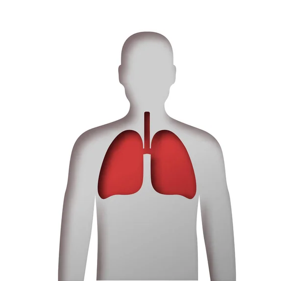 Kağıt Insan Vücudunu Kırmızı Akciğer Organıyla Kesiyor Tıp Veya Sağlık — Stok Vektör