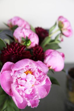 Pembe peonie çiçek yeşil yaprakları ile çevrili closeup