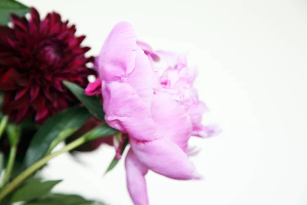 Closeup Růžové Ostrožkami Květ Obklopený Zelenými Listy — Stock fotografie