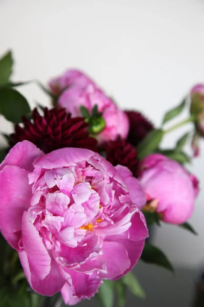 Close Van Roze Peonie Bloem Omringd Met Groene Bladeren — Stockfoto