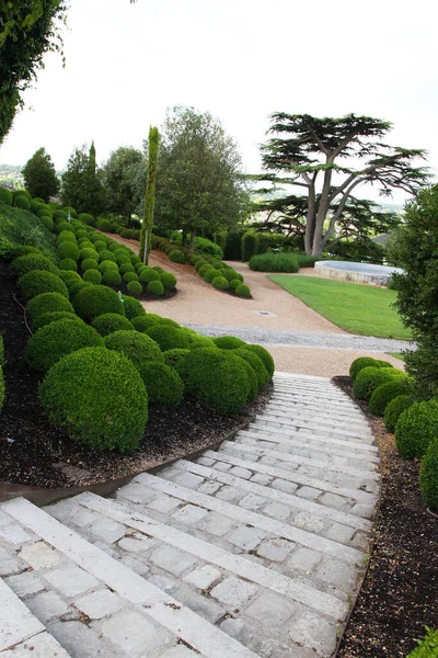 Giardini Nel Parco Del Castello Amboise Valle Della Loira Francia — Foto Stock