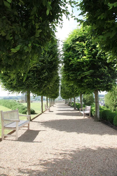 Grădini Terenuri Castel Din Amboise Valea Loarei Franța Arbuști Topiari — Fotografie, imagine de stoc