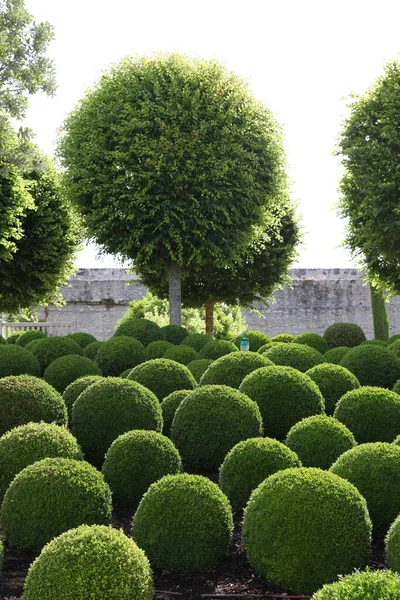 Jardines Terrenos Del Castillo Amboise Valle Del Loira Francia Con — Foto de Stock