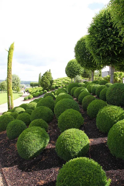 Jardines Terrenos Del Castillo Amboise Valle Del Loira Francia Con — Foto de Stock