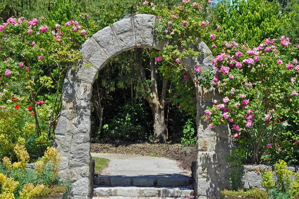 Arco Pedra Coberto Com Rosas Rosa — Fotografia de Stock