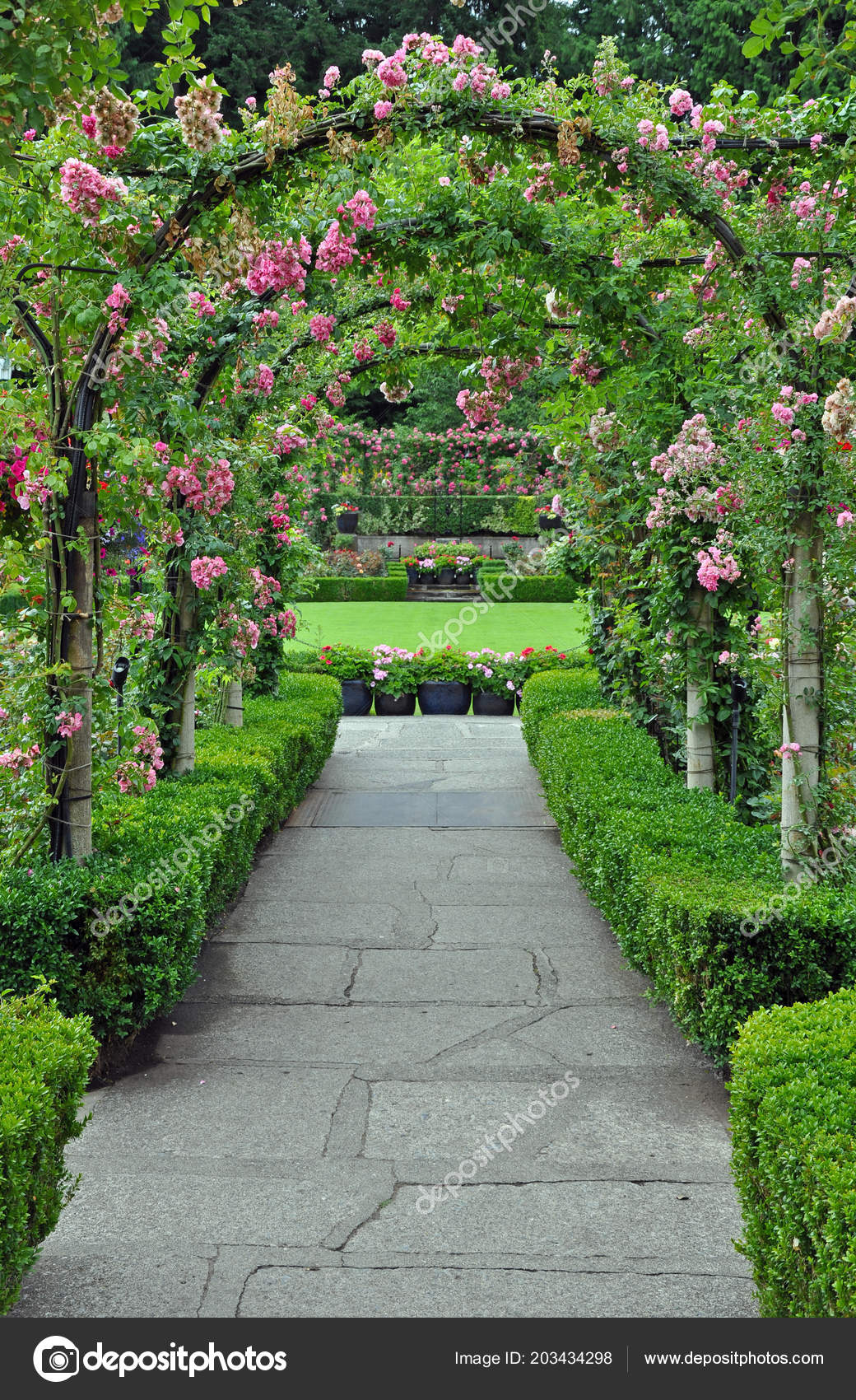 Garden Archway Covered Pink Spring Roses — Stock Photo © montana 203434298