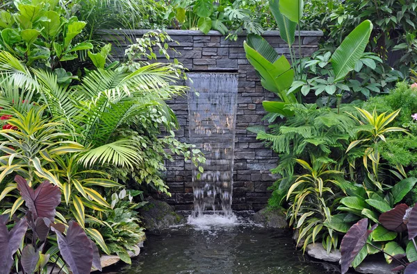 Tropical waterfall — Stock Photo, Image