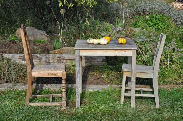 Kleine Pompoenen Oude Houten Tafel Met Twee Stoelen — Stockfoto