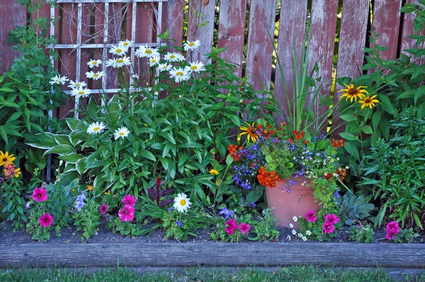 Красочный Поздний Летний Цветочный Сад Рядом Старым Забором — стоковое фото